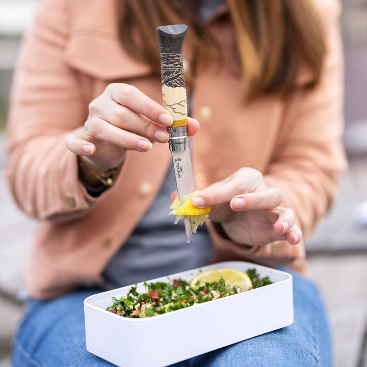 Opinel X MonBento On-the-go Meal Kit