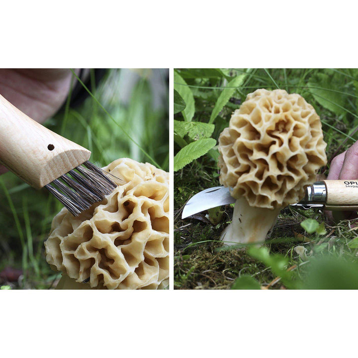 Opinel Mushroom Knife