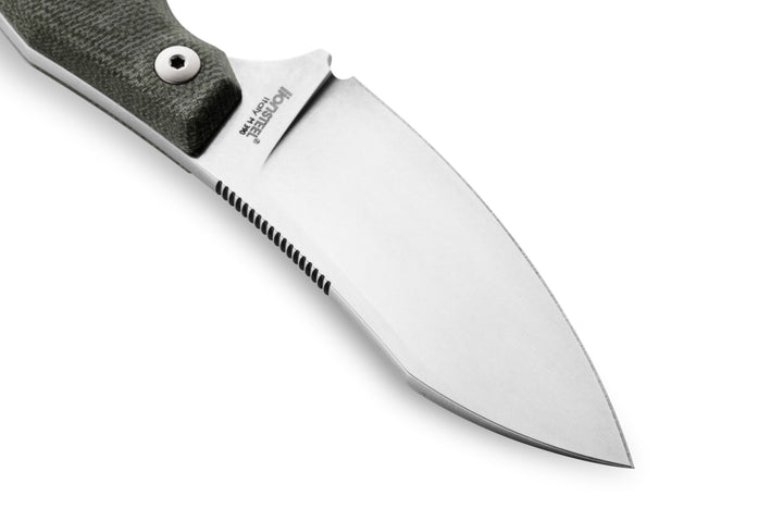 LionSTEEL H1