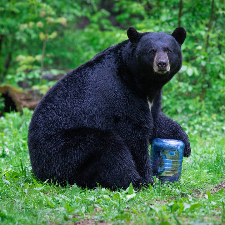 BearVault BV500 - Journey Bear Resistant Food Cannister