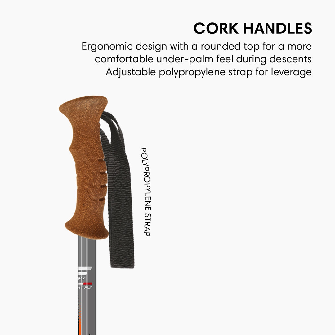 Fizan Tierra Trekking Poles