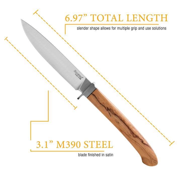 LionSTEEL Ago Fixed Blade