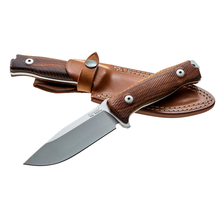 LionSTEEL M5