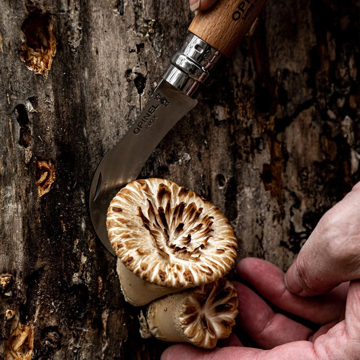 Opinel Mushroom Knife w/Sheath