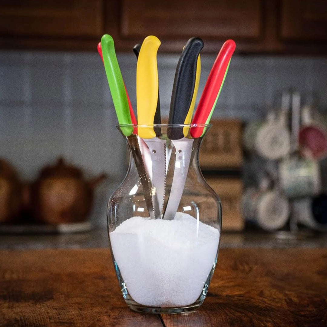 Spyderco Z-Cut Pointed Tip Fixed Blade Kitchen Knife