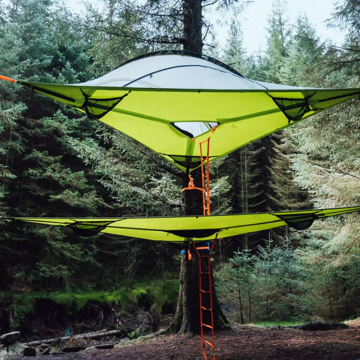 Tentsile 6ft. Lightweight Webbing Ladder (3.0)