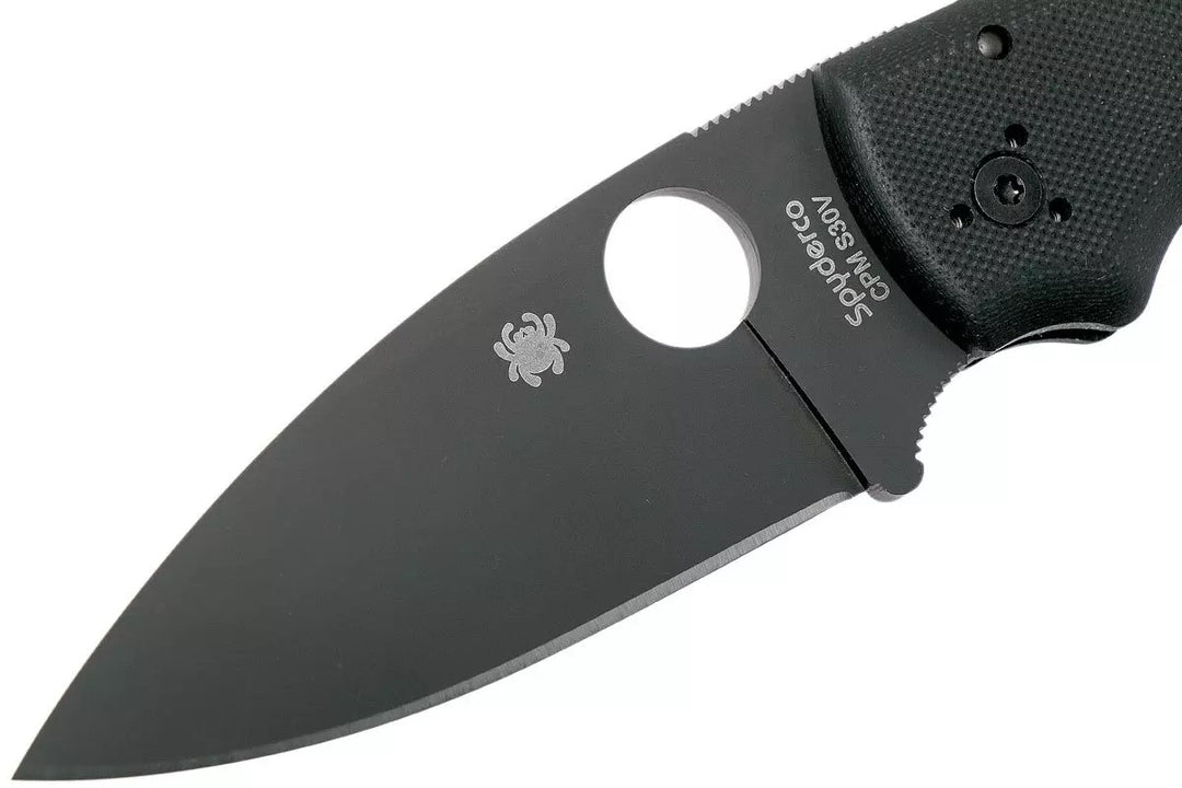 Spyderco Shaman Black Blade C229GPBK