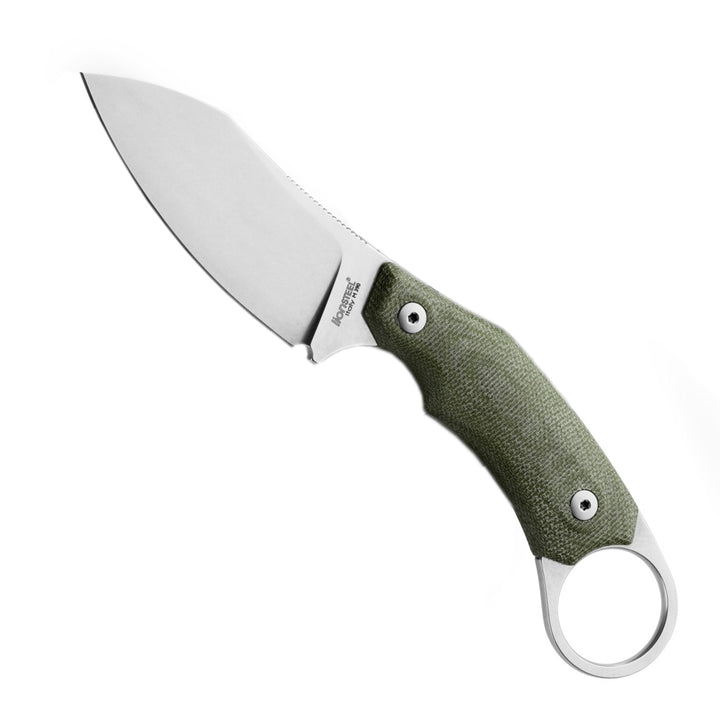 LionSTEEL H1