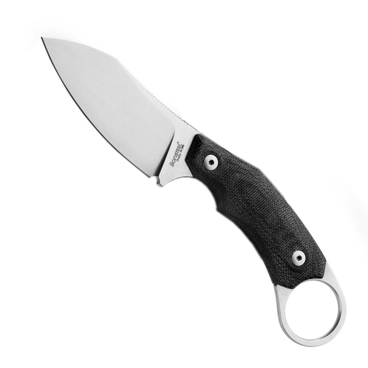 LionSTEEL H1