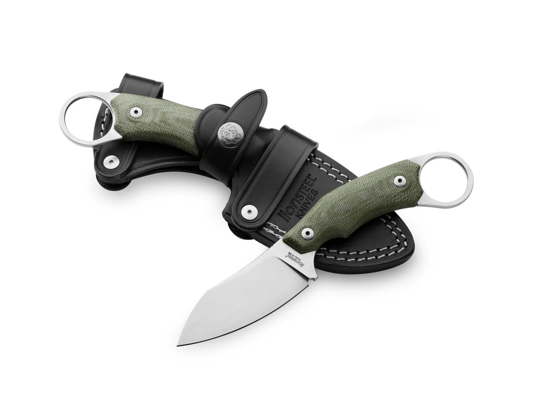 LionSTEEL H1