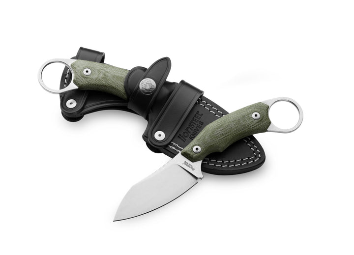LionSTEEL H1