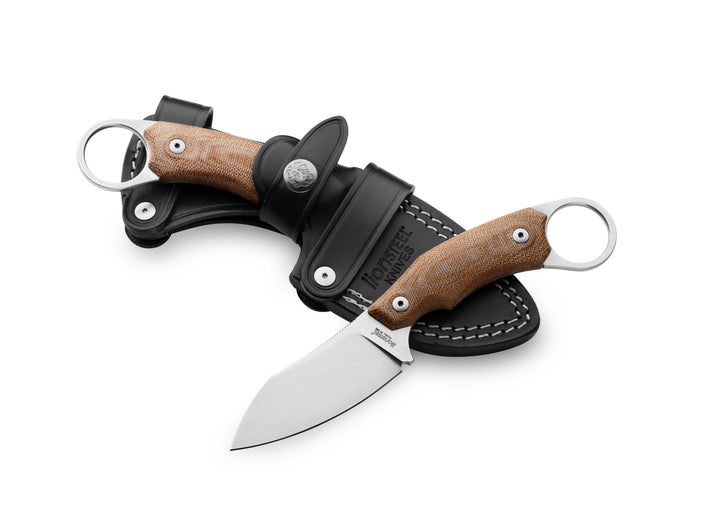 LionSTEEL H1