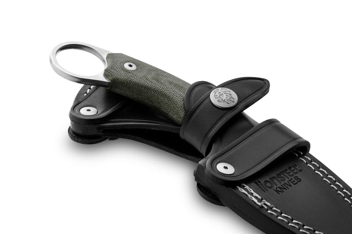 LionSTEEL H1