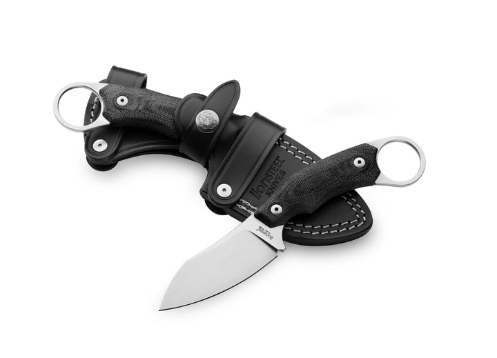 LionSTEEL H1
